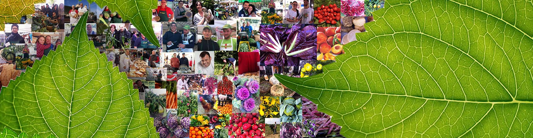 mercato_contadino_comunita_del_cibo_km0_spesa_di_qualita