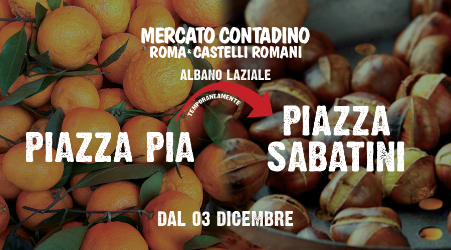mercato_albano_piazza_pia