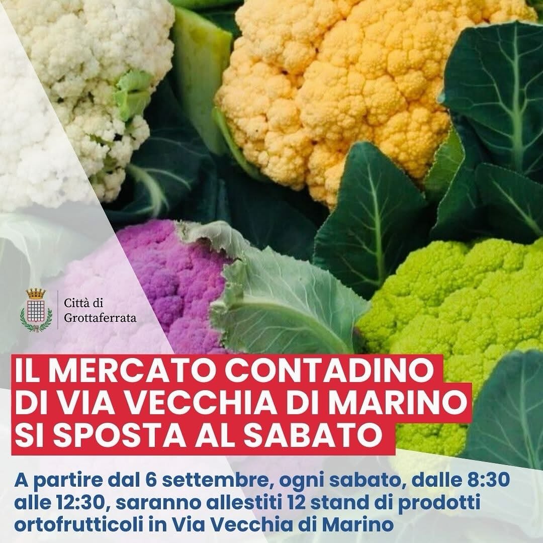 mercato contadino grottaferrata