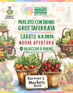 grottaferrata edizione nuovo mercato copia